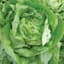Lettuce, Bibb 1/2lb — thumbnail 2 of 2