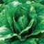 Lettuce, Parris Island Cos ( Romaine ) 1/2oz — thumbnail 2 of 2