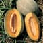 Cantaloupe, Hales Best Jumbo 1/2oz — thumbnail 2 of 2
