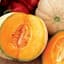 Cantaloupe, Honey Rock 1/2oz — thumbnail 2 of 2