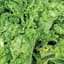 Mustard, Old Fashion 1lb — thumbnail 2 of 2