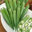 Okra, Perkins Long Pod 1/2oz — thumbnail 2 of 2