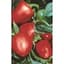 Peppers, Pimento 1/2oz — thumbnail 2 of 2