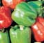 Peppers, Yolo Wonder 1/2oz — thumbnail 2 of 2
