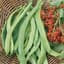 Beans, State Half Runner 25lb — thumbnail 2 of 2
