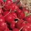 Radish, Champion 1lb — thumbnail 2 of 2