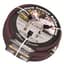 Dramm 5/8"x50' Premium Colorstorm Rubber Hose Berry — thumbnail 2 of 2