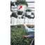 Dramm Hanging Basket Remover 12" Ring Only — thumbnail 2 of 2