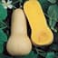 SQUASH, BUTTERNUT WALTHAM    50# — thumbnail 2 of 2