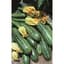Squash, Cocozelle 1/2lb — thumbnail 2 of 2