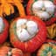 Squash, Turks Turban 1/2lb — thumbnail 2 of 2