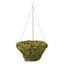 Braun 18" Woodland Moss Hanging Basket w/ Galvanized Wire Hanger — thumbnail 2 of 2