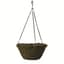 Braun 12" Evergreen Moss Hanging Basket W/ Chain — thumbnail 2 of 2