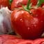 Tomato, Homestead 1/2oz — thumbnail 2 of 2