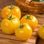 Tomato, Lemon Boy Untreated 500 Seed Count — thumbnail 2 of 2