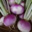 Turnips, Purple Top White Globe 1/2oz — thumbnail 2 of 2