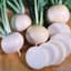 Turnips, White Lady 1/2oz — thumbnail 2 of 2