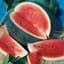 Watermelon, Black Diamond 1/2lb — thumbnail 2 of 2