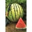 Watermelon, Dixie Queen 1/2oz — thumbnail 2 of 2