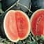Watermelon, Sugar Baby 1/2lb — thumbnail 2 of 2