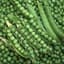 Peas, Green Arrow Treated 50lb — thumbnail 2 of 2