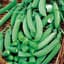 Peas, Sugar Snap 50lb — thumbnail 2 of 2
