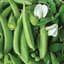 Peas, Cascadia 50lb — thumbnail 2 of 2