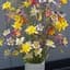 COLUMBINE, MCKANA GIANT MIX LBS — thumbnail 2 of 2