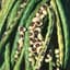 Cowpeas, California Blackeye 1lb — thumbnail 2 of 2