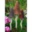 Potting Shed 3pc Tinkling Toadstools Spring Colors — thumbnail 2 of 2