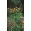 Panacea 84" Black Double Hook — thumbnail 2 of 2