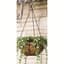 Panacea 14" Classic Finial Hanging Basket — thumbnail 2 of 2