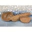 Panacea 16" Round Coco Fiber Liner — thumbnail 2 of 2