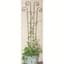 Panacea 60" Green Wave Trellis — thumbnail 2 of 2