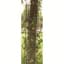 Panacea 72"x10" Semi Round Art & Crafts Trellis Black — thumbnail 2 of 2