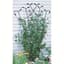 Panacea 80" Black Forged Fan Trellis With Leaves — thumbnail 2 of 2
