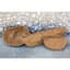 Panacea 36" Trough Coco Fiber Liner — thumbnail 2 of 2
