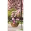 Panacea 12" Hanging Basket Growers Green — thumbnail 2 of 2