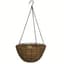 Panacea 14" Hanging Basket Green Growers — thumbnail 2 of 2