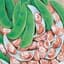 Limas, Jackson Wonder 50lb — thumbnail 2 of 2