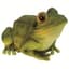 MCarr Frog — thumbnail 2 of 2