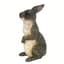 MCarr Peter Rabbit Gray — thumbnail 2 of 2