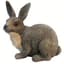 MCarr Brother Rabbit — thumbnail 2 of 2