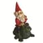MCarr Garrold Gnome On Toad — thumbnail 2 of 2