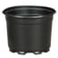 DLN 05.00 AZ SHORT COEX     BLK/BLK 675/CS 36CS/PL — thumbnail 2 of 2