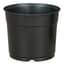 DLN 05.50 RND AZ TRAD COEX BLK/BLK 496/CS 32CS/PL — thumbnail 2 of 2