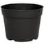 DLN 06.50 RND AZ TRAD T/W   BLK 240/CS 48CS/PL — thumbnail 2 of 2