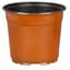 DLN 17.00 CM EURO POT COEX TALL TC 294/CS 32CS/PL — thumbnail 2 of 2