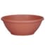 DLN 12.00 COLOR BOWL  CL 42/CS 48CS/PL — thumbnail 2 of 2