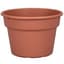 DLN 08.00 COLOR POT TL   CL 58/CS 60CS/PL — thumbnail 2 of 2